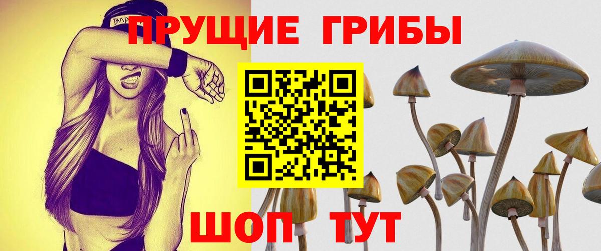 Галлюциногенные грибы Magic Shrooms  сколько стоит  Пушкино  Вход с VPN 